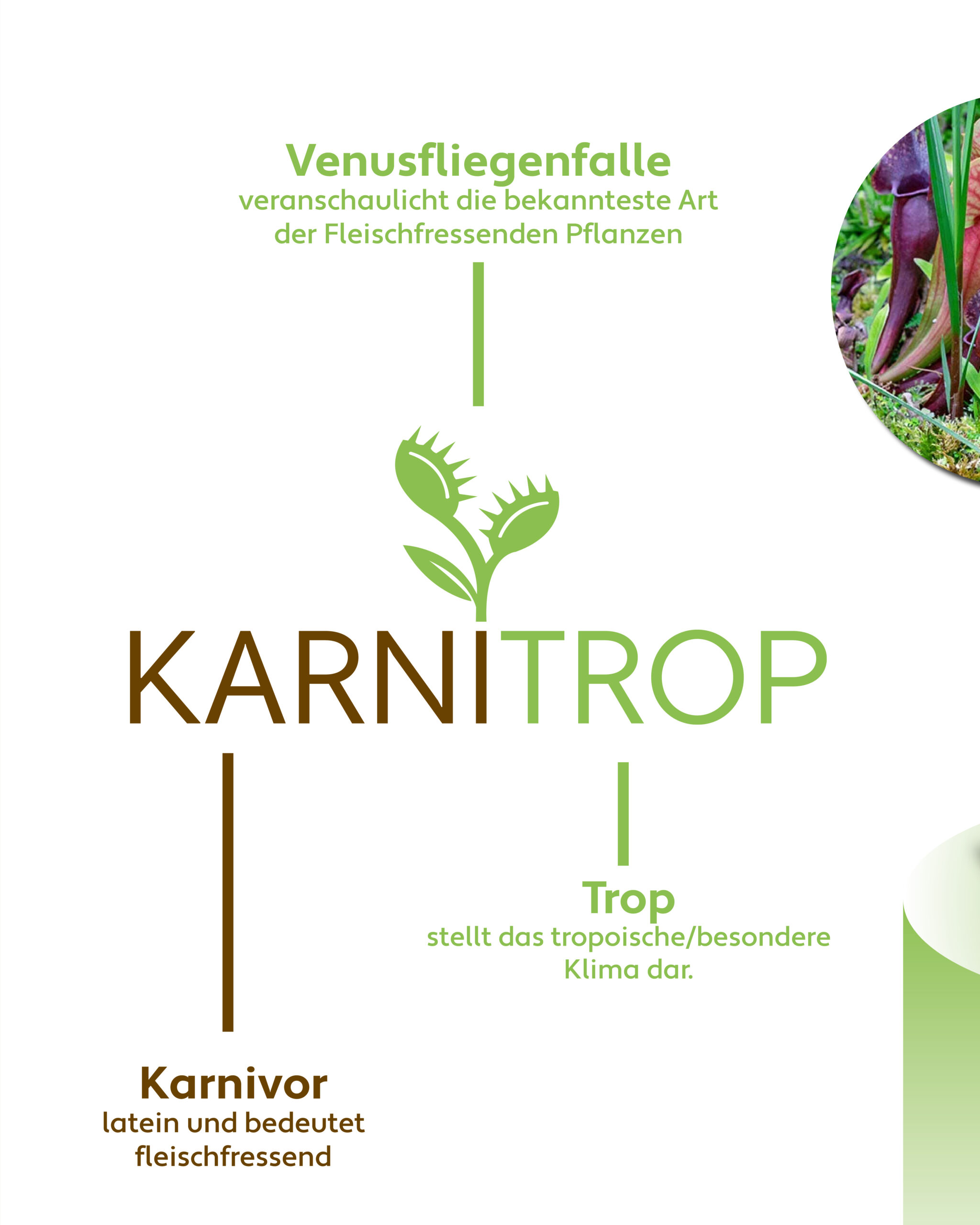 Instapost_Karnitrop2
