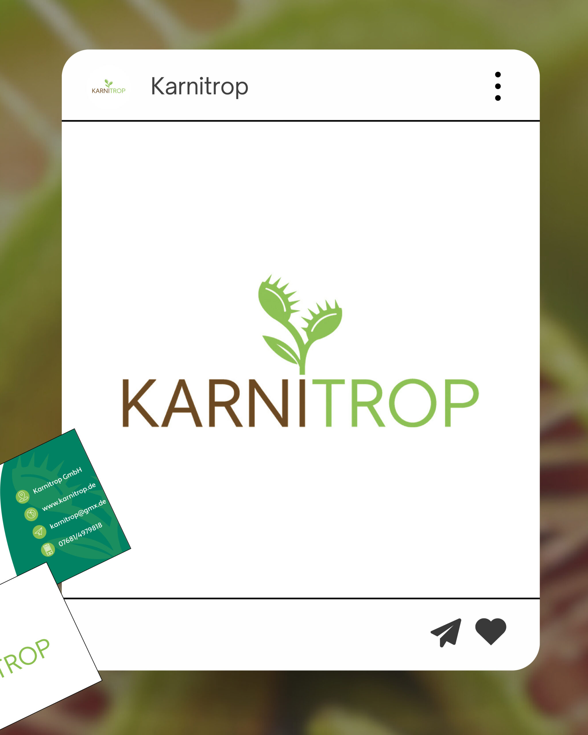 Instapost_Karnitrop5